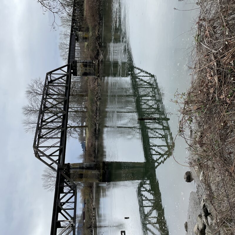 img_4667.jpeg