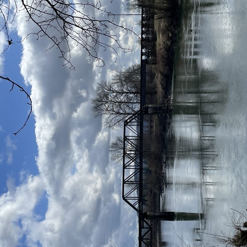 img_4681.jpeg
