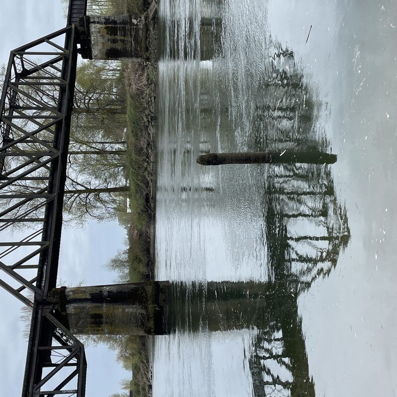 img_4743.jpeg