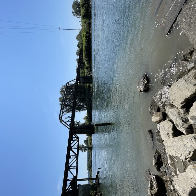 img_4884.jpeg