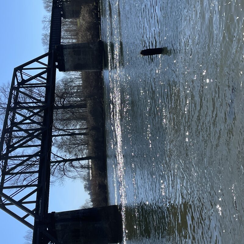 img_5687.jpeg