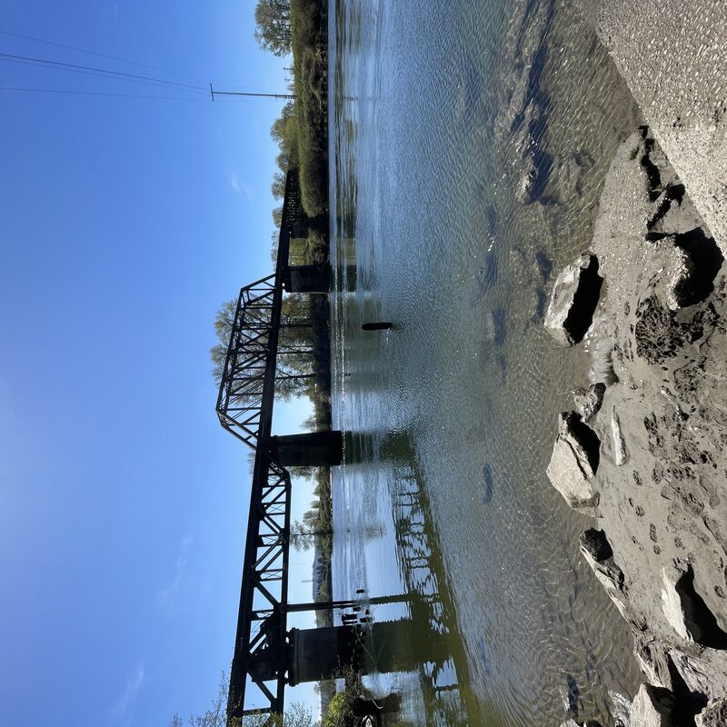 img_5882.jpeg