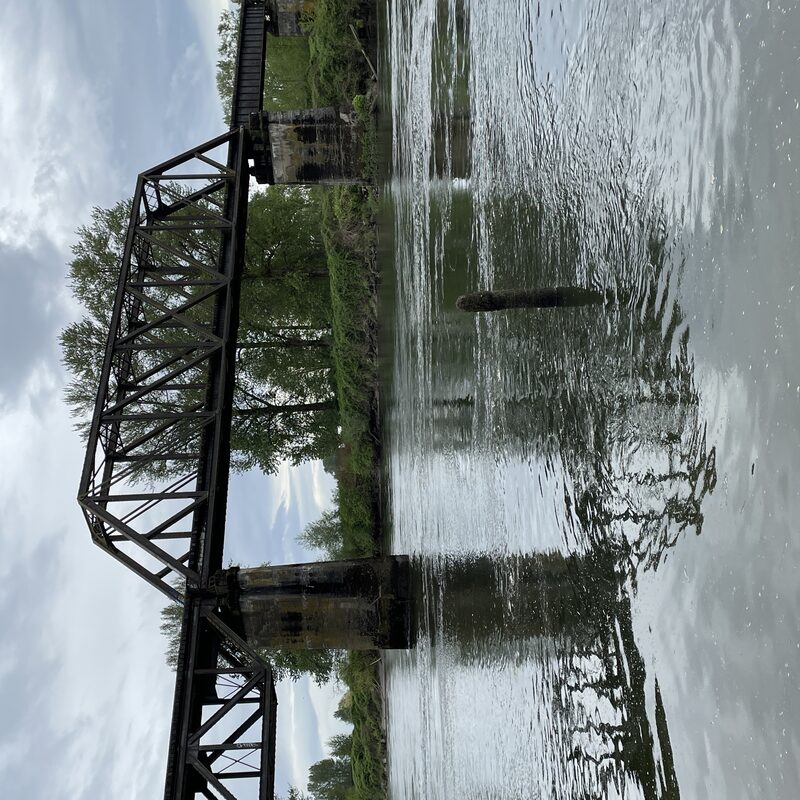 img_5917.jpeg
