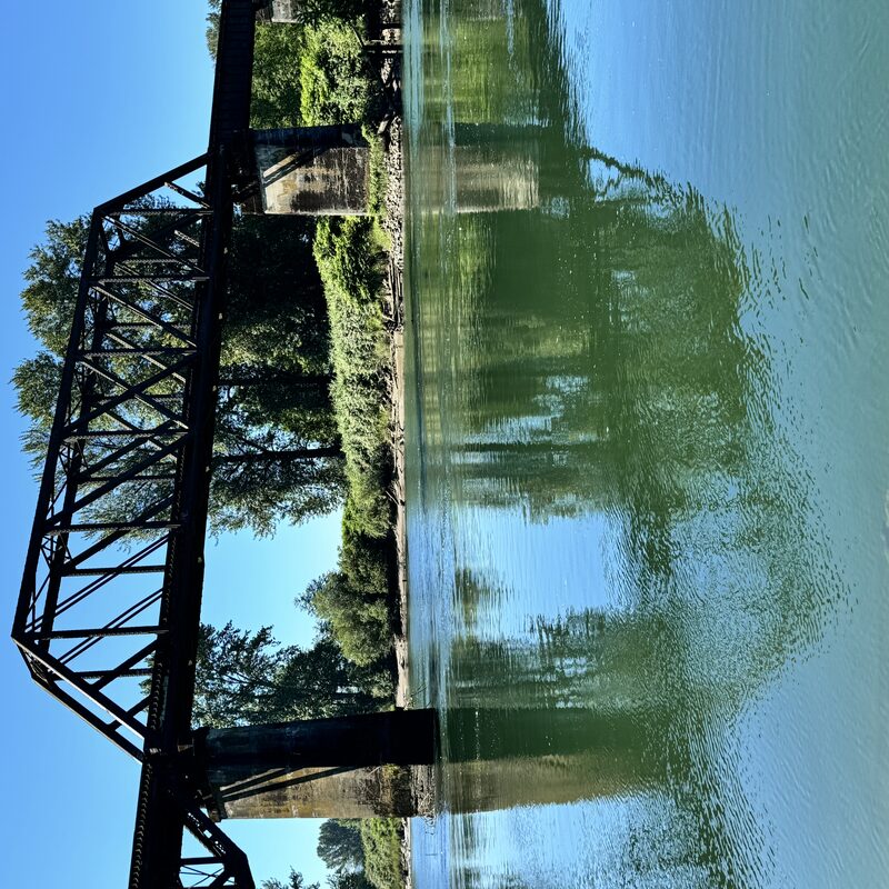 img_6317.jpeg