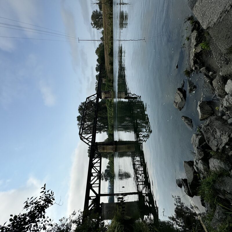 img_6451.jpeg