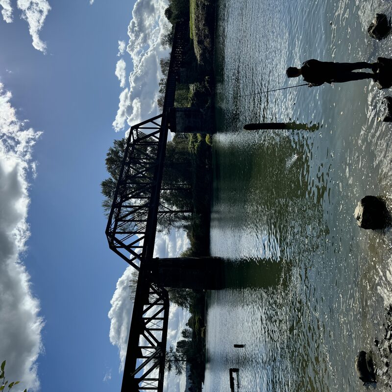 img_6561.jpeg