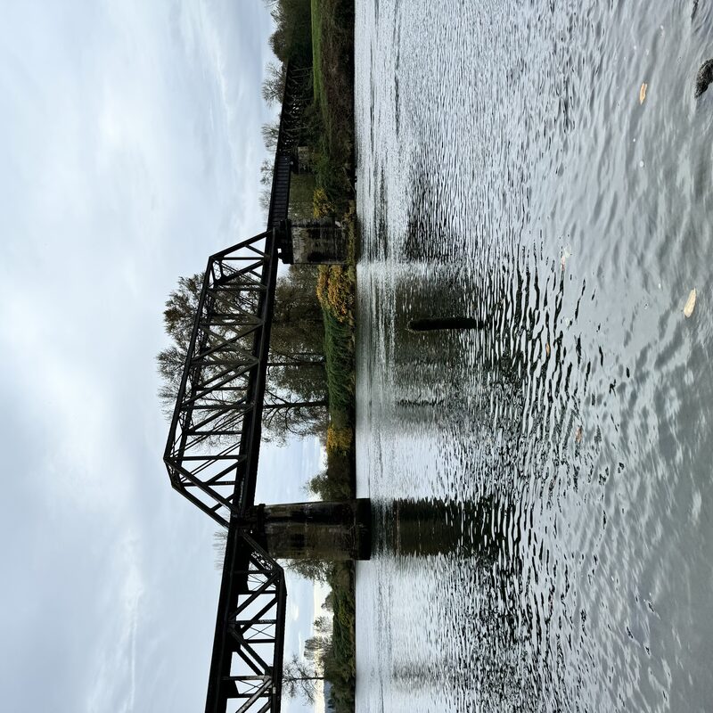 img_6595.jpeg