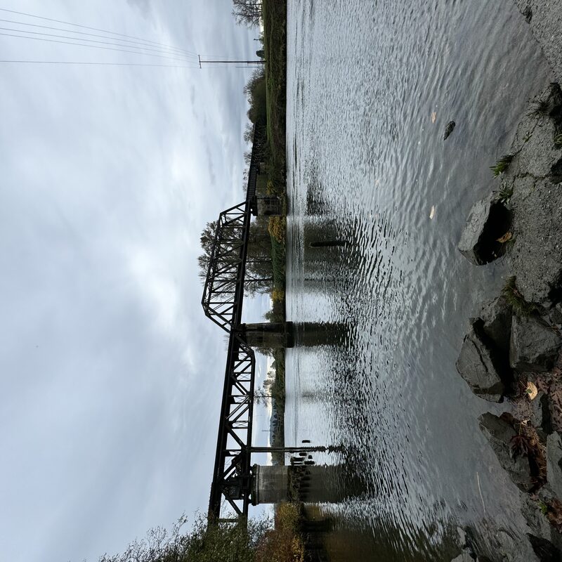 img_6598.jpeg