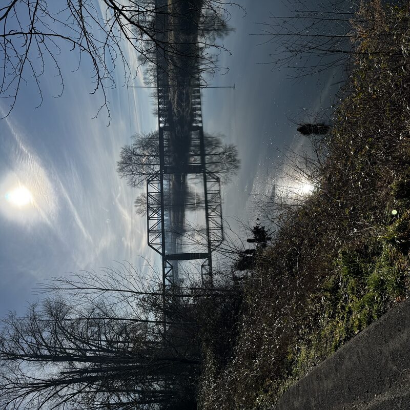 img_7439.jpeg