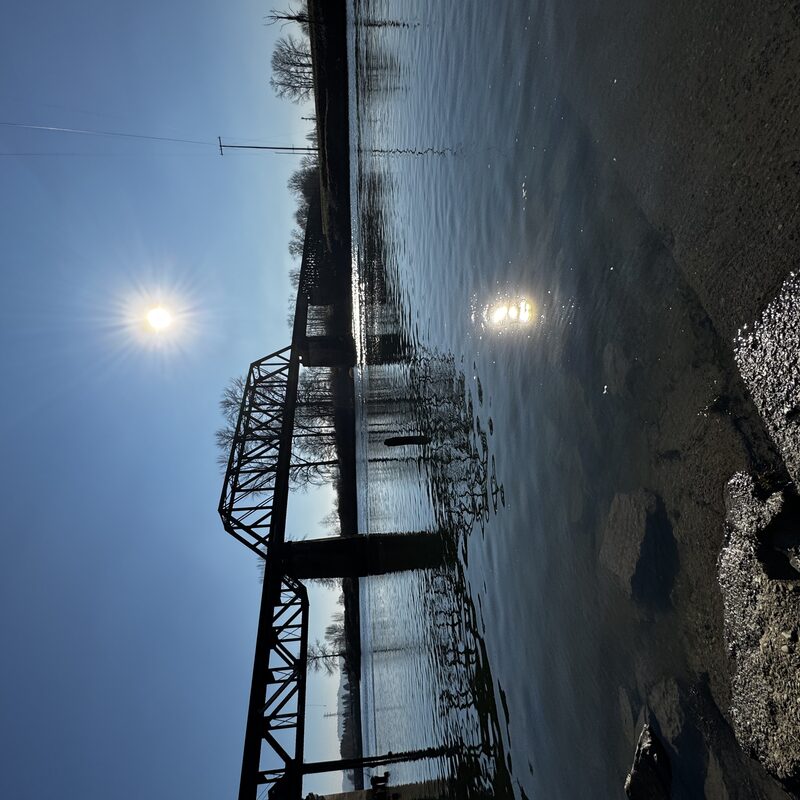 img_7503.jpeg