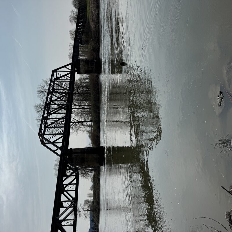img_8208.jpeg