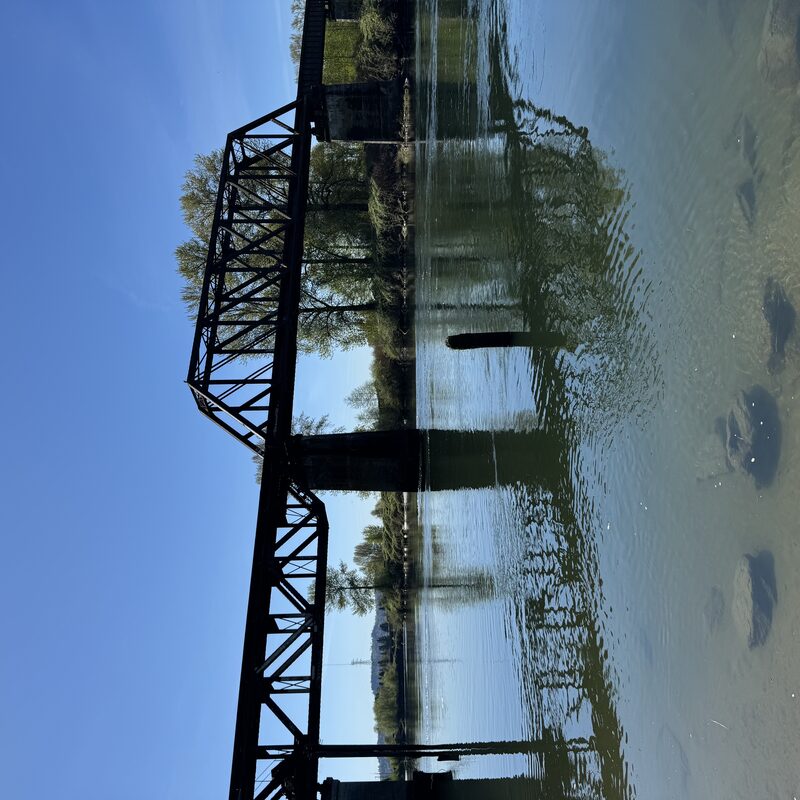img_8442.jpeg