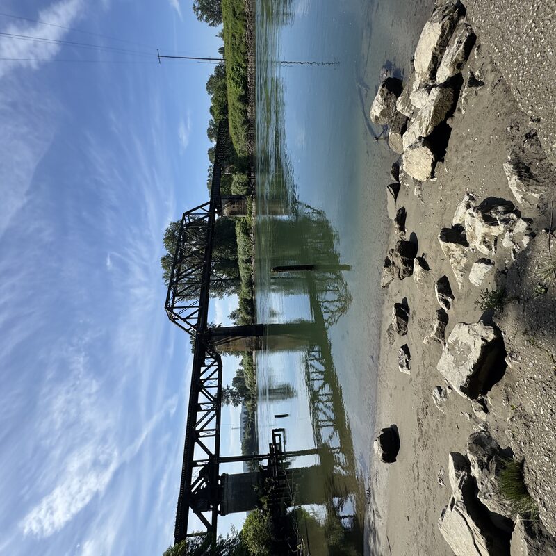 img_8901.jpeg