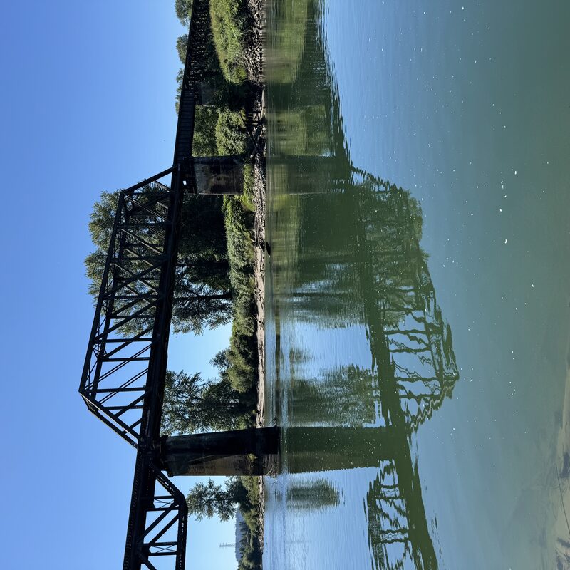 img_8991.jpeg