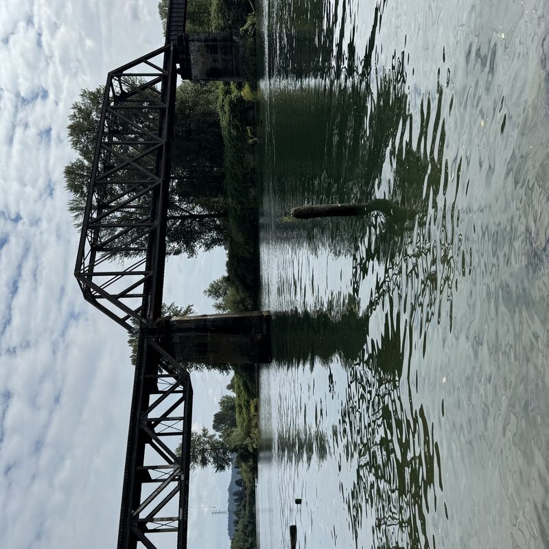 img_9020.jpeg